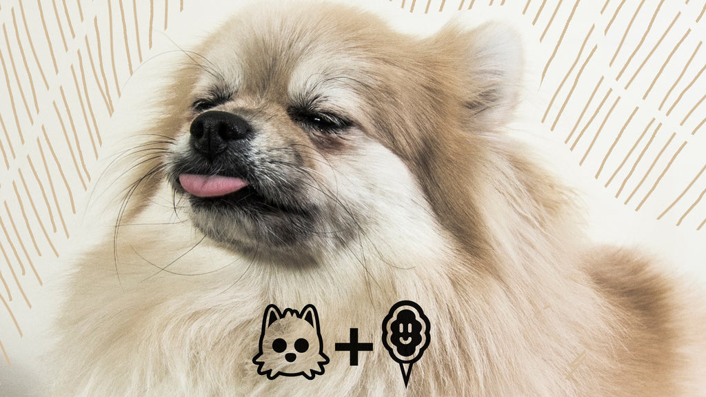 Hot Mess Cotton Candy Collab