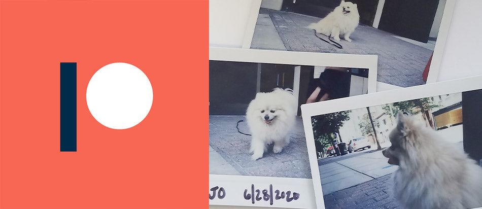 Join our sticker club through Patreon!