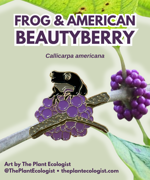 Beauty Berry & Tree Frog Enamel Pin - North Carolina native