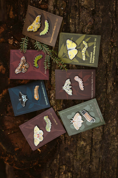 Sphinx Moth Pin Pandora Sphinx Moth Pin Set – MunjoMunjo