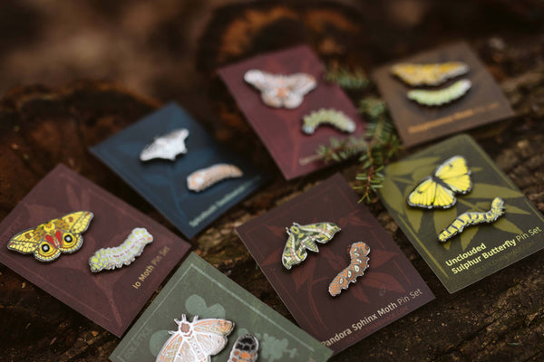 Sphinx Moth Pin Pandora Sphinx Moth Pin Set – MunjoMunjo