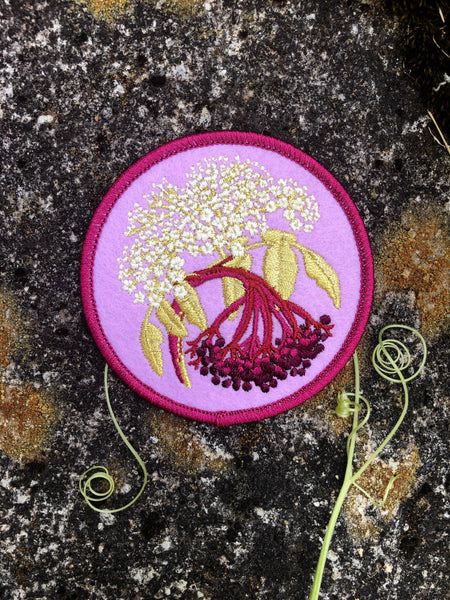 Common Elderberry Patch