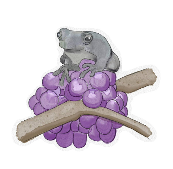 Beauty Berry & Tree Frog Enamel Pin - North Carolina native