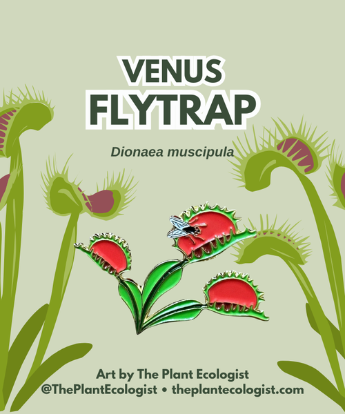 Venus Flytrap Enamel Pin - NC Native Plant!