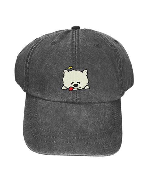 Sleepy Prince Dog Dad Hat - Charcoal
