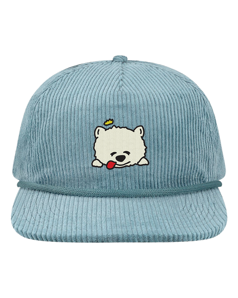 Sleepy Prince Dog Corduroy Hat